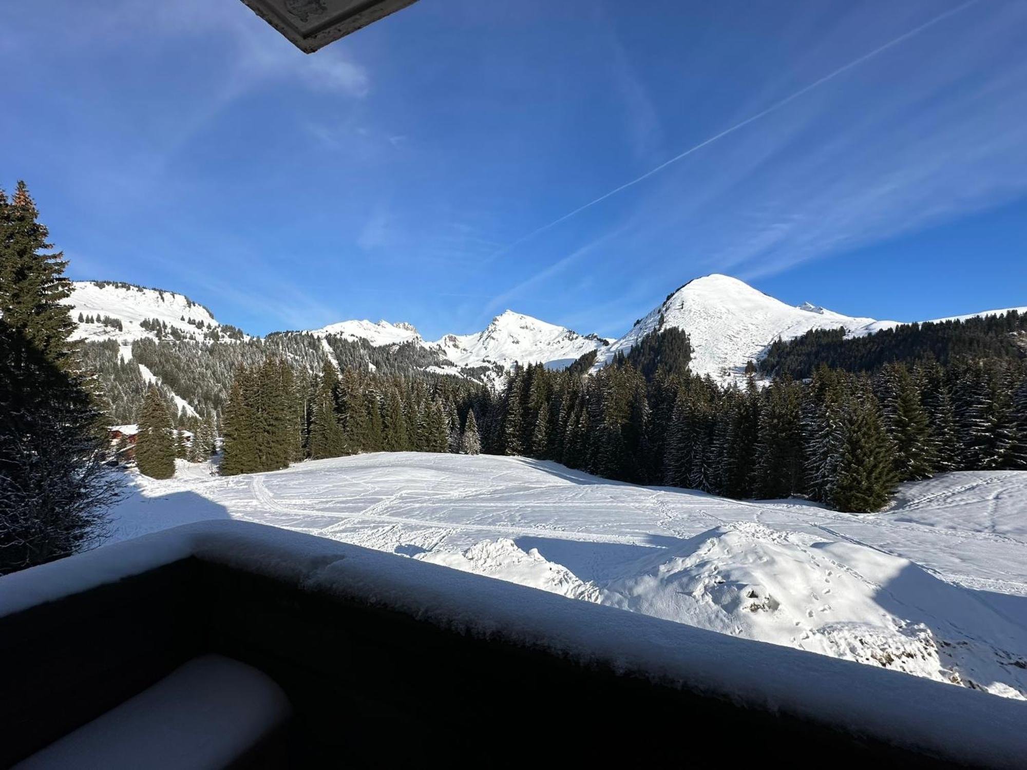 Studio Au Coeur Du Praz-De-Lys - Les Pralyssimes Praz de Lys - Sommand Extérieur photo