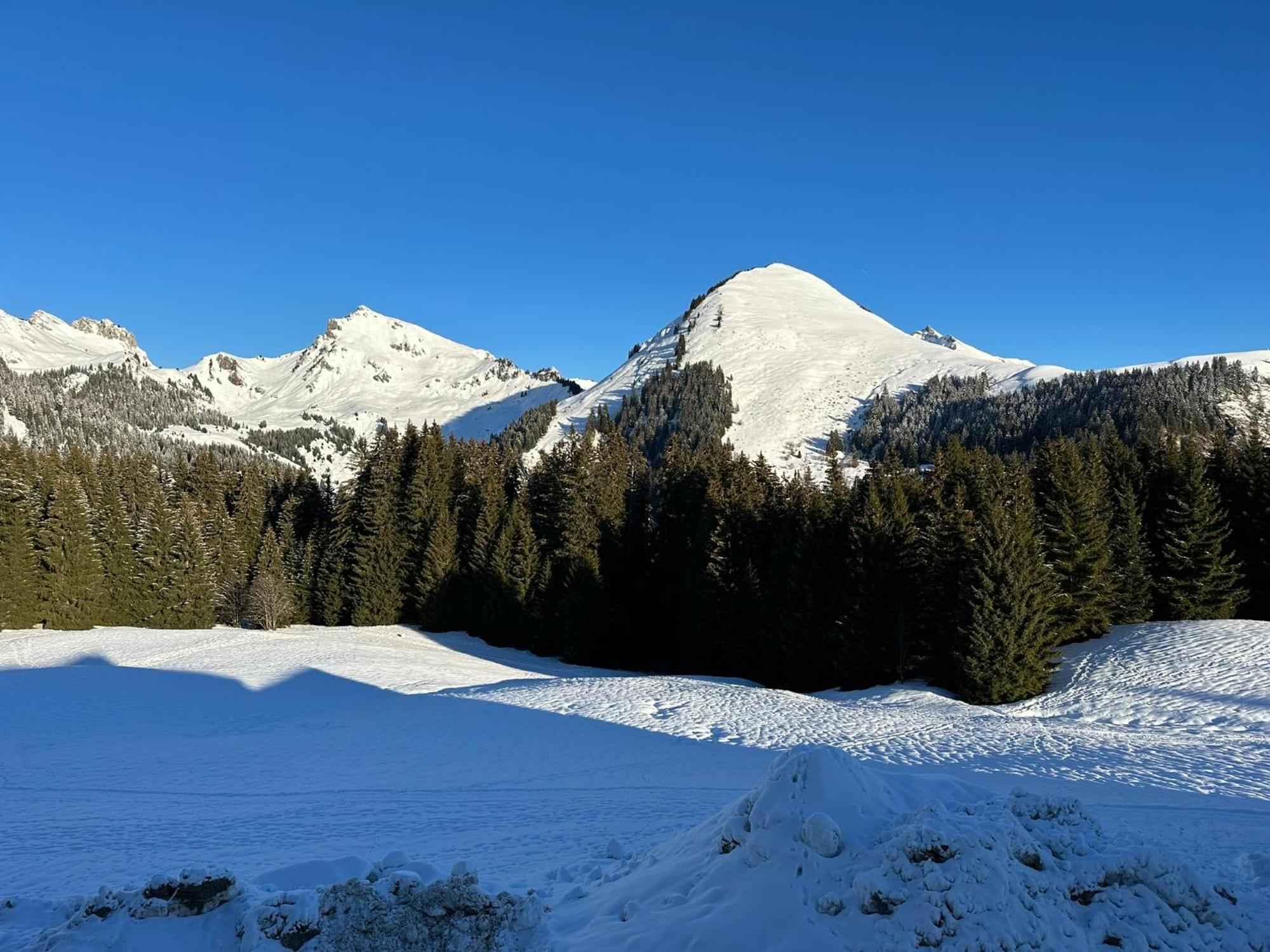 Studio Au Coeur Du Praz-De-Lys - Les Pralyssimes Praz de Lys - Sommand Extérieur photo