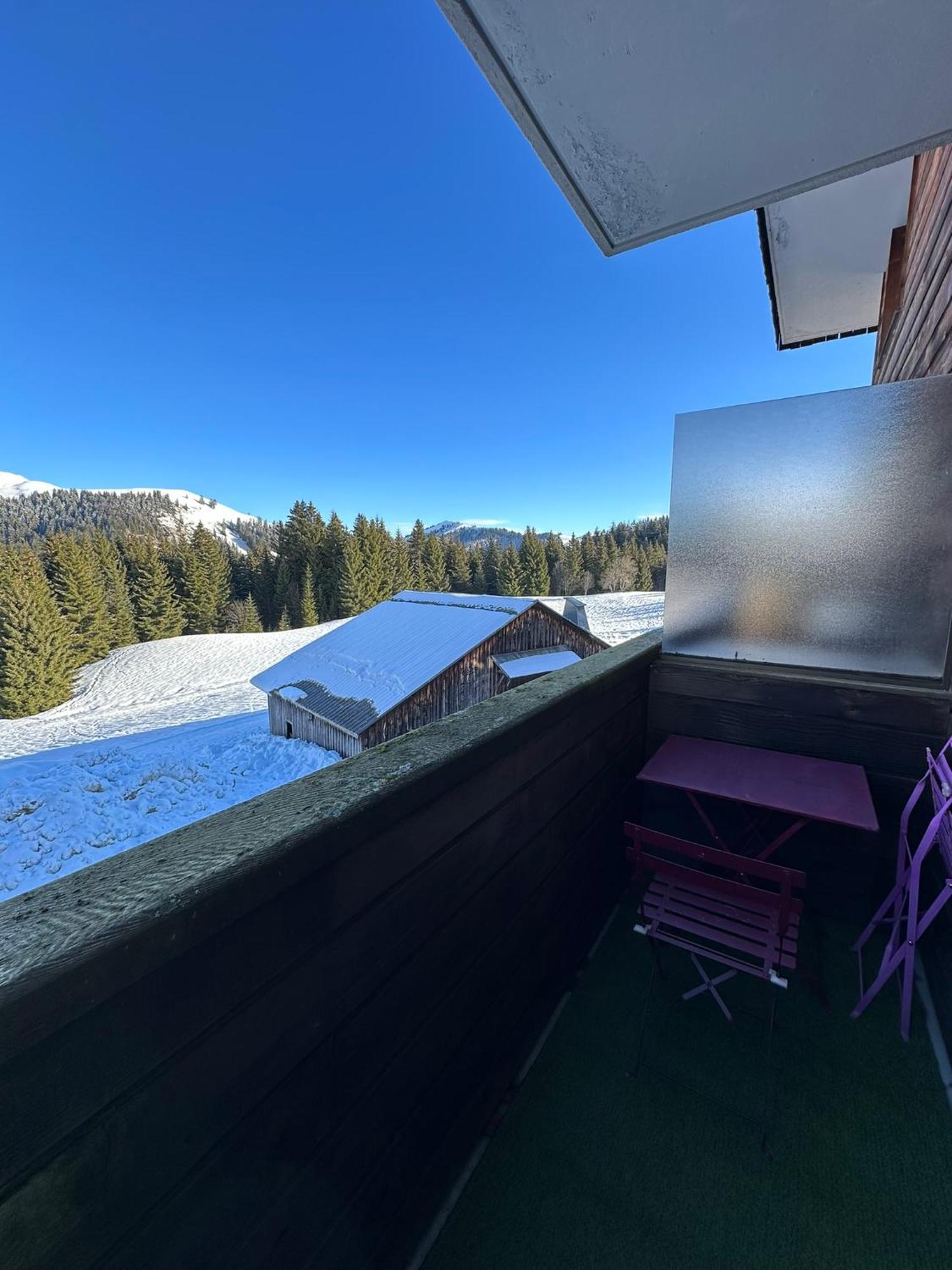 Studio Au Coeur Du Praz-De-Lys - Les Pralyssimes Praz de Lys - Sommand Extérieur photo