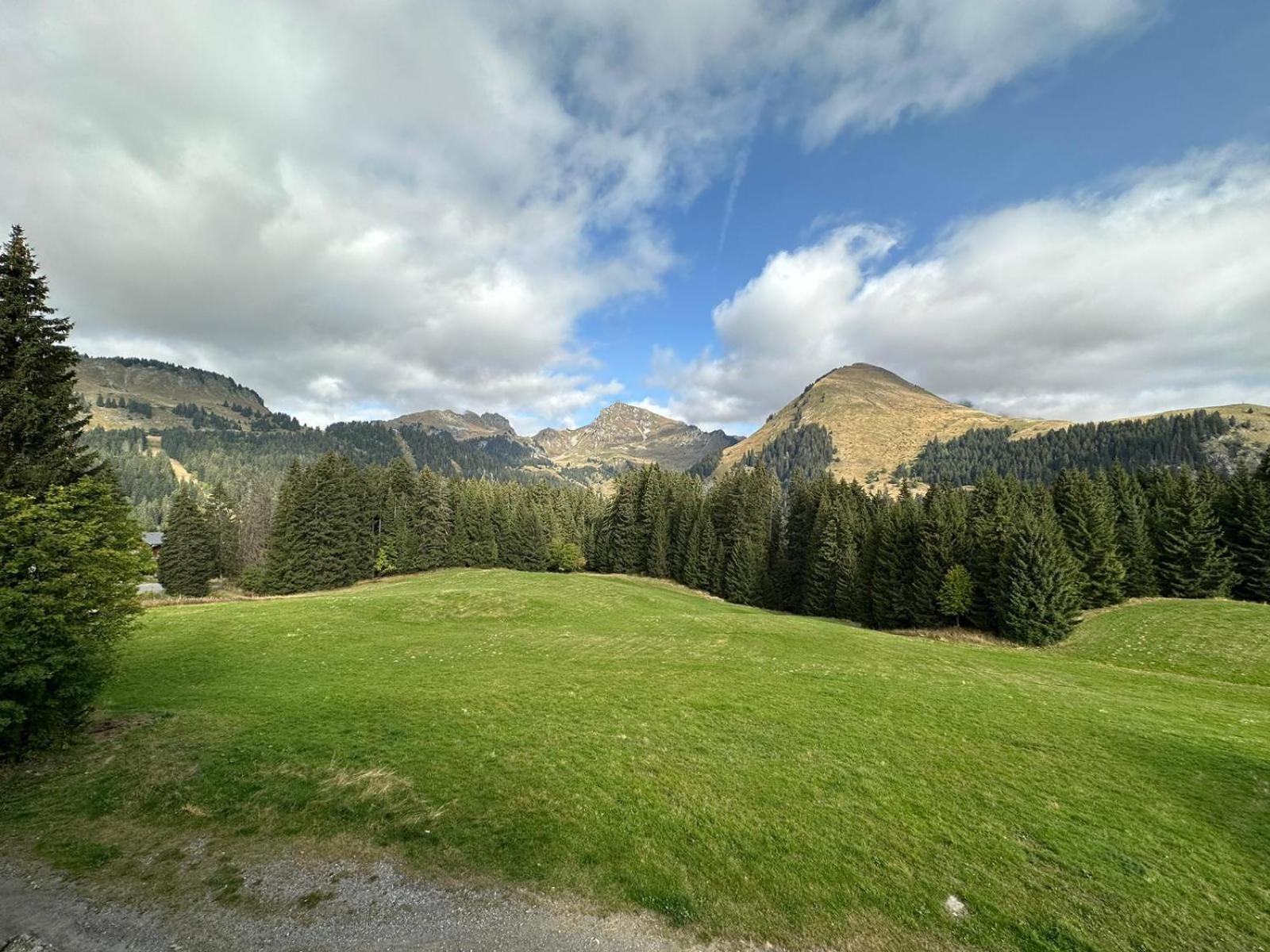 Studio Au Coeur Du Praz-De-Lys - Les Pralyssimes Praz de Lys - Sommand Extérieur photo