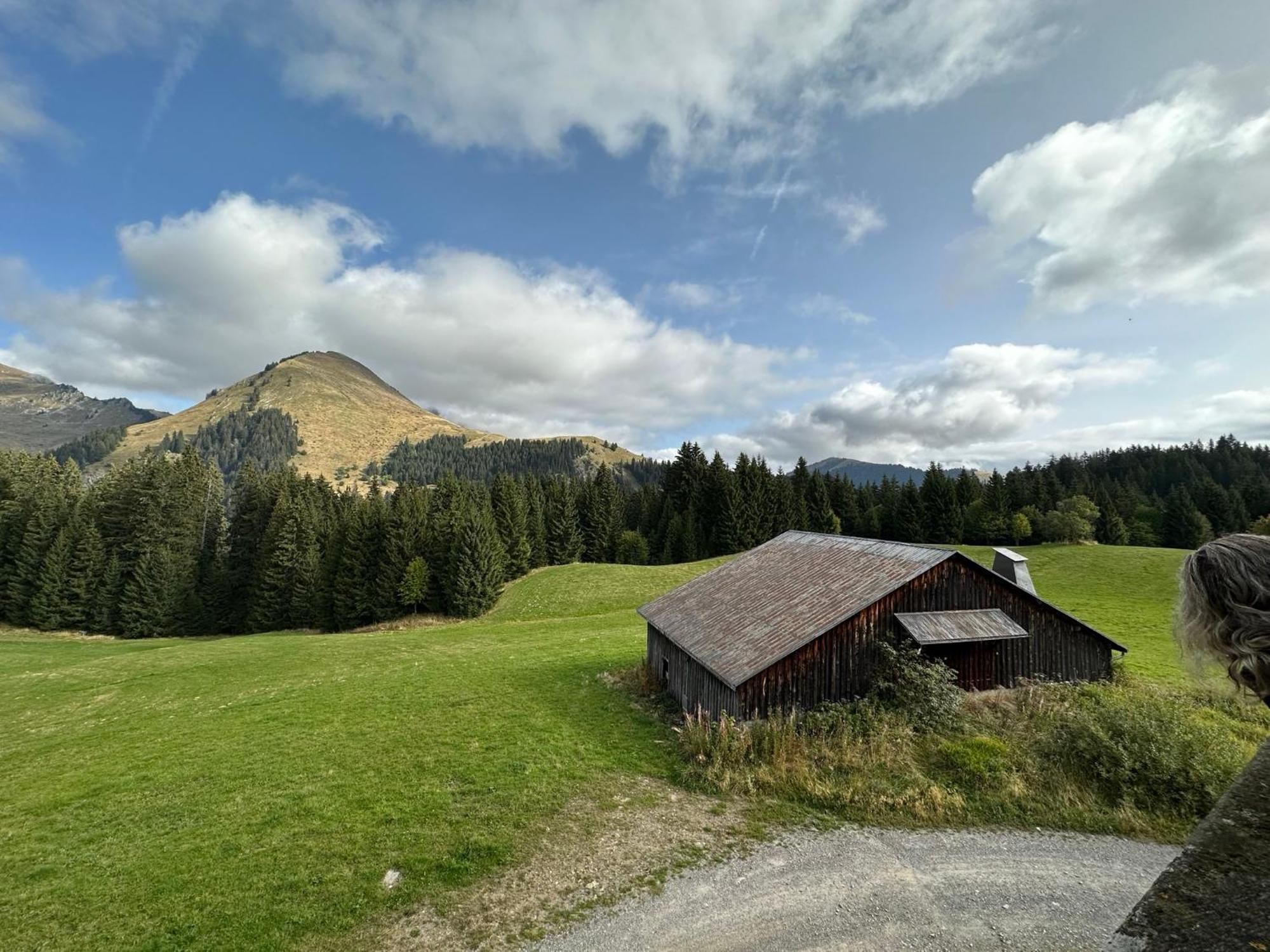 Studio Au Coeur Du Praz-De-Lys - Les Pralyssimes Praz de Lys - Sommand Extérieur photo