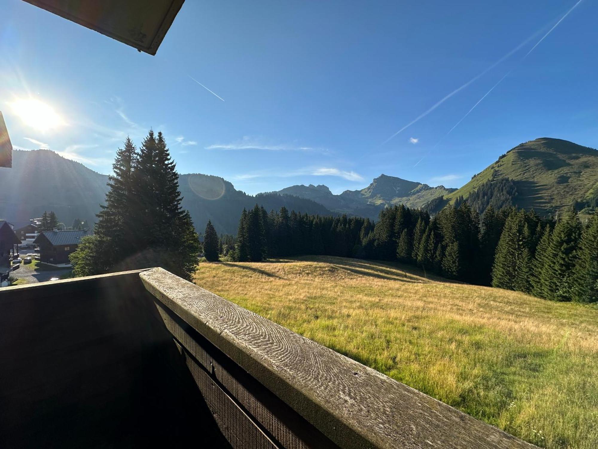 Studio Au Coeur Du Praz-De-Lys - Les Pralyssimes Praz de Lys - Sommand Extérieur photo